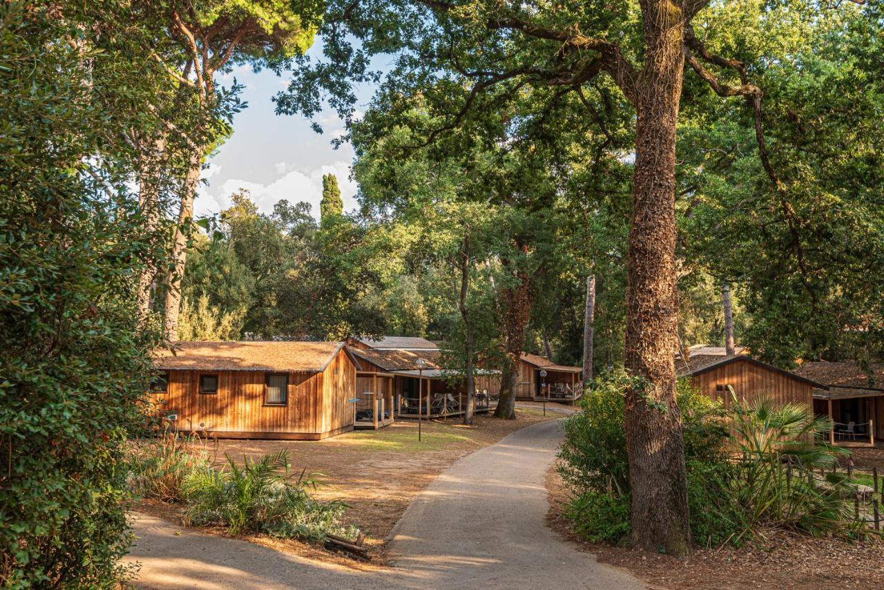 Paradu Ecovillage & Resort 马里纳-迪卡斯塔涅托 外观 照片